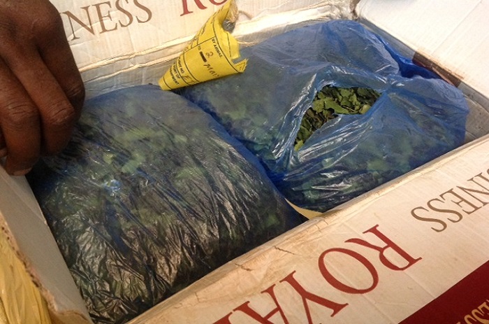 La saisie de la drogue par les douaniers de Kaffrine et de l'aéroport LSS en image