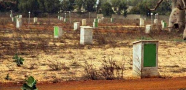 ​Litige foncier à Linguère : les éleveurs mettent en garde le maire 