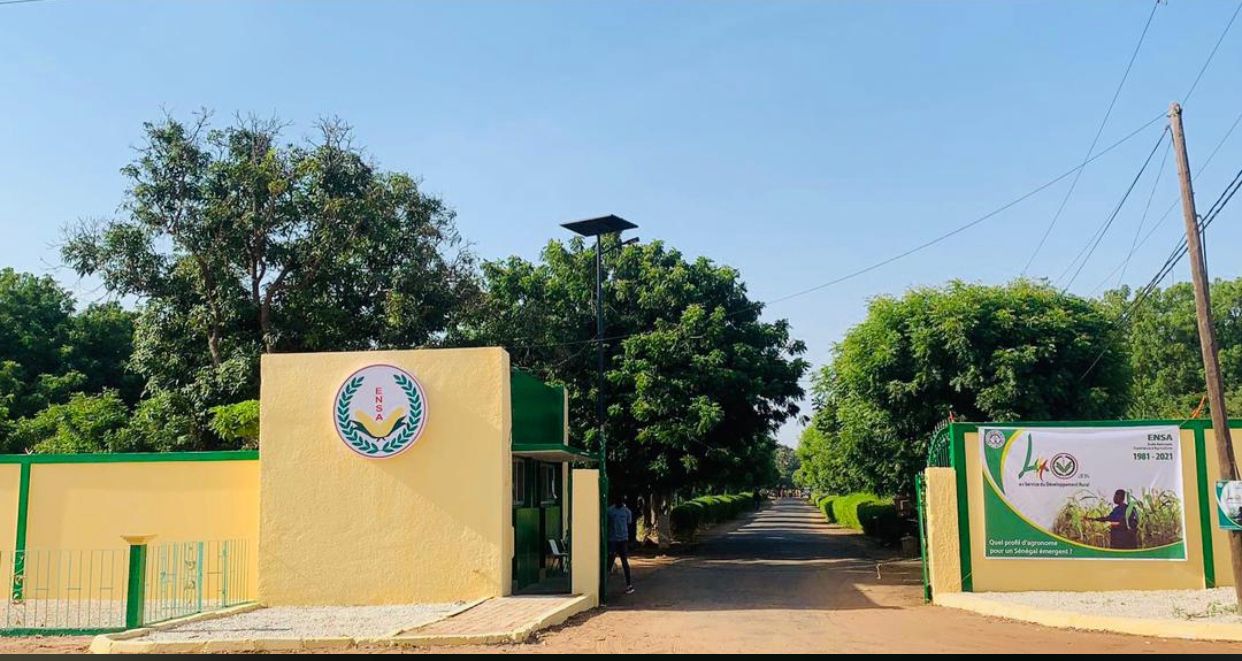 Arrêt des activités à l’Ensa de Thiès : les syndicalistes exigent la résolution de la crise budgétaire
