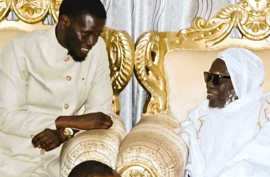 La 41e édition de la Journée nationale de l’arbre : le chef de l’État félicite l'engagement de « Touba Ca Kanam » pour sa pépinière de 28 000 pieds