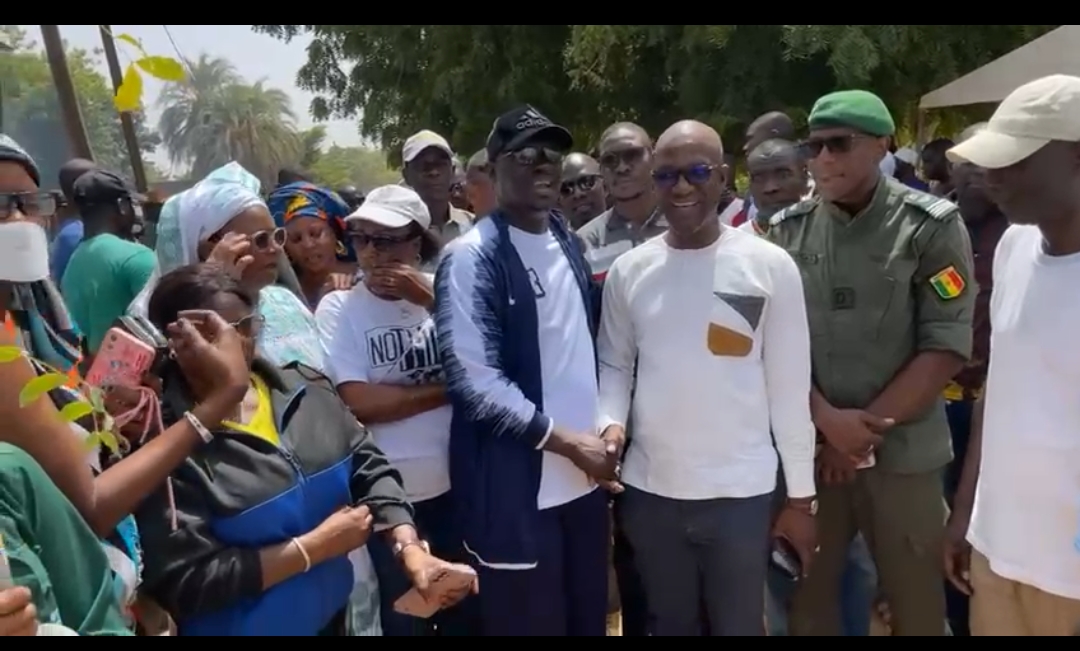 Journée nationale de l’arbre : "Pour atteindre l’autosuffisance alimentaire, il faut bloquer l’avancée du désert" (Me Babacar Ndiaye de SNR)