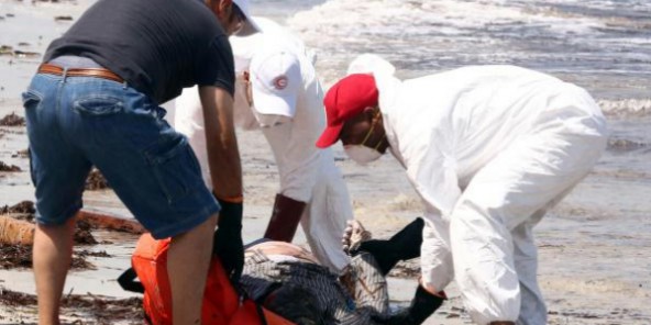 Naufrage au large de la Libye : au moins 111 cadavres récupérés