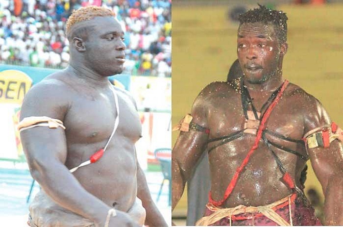 Combat Sa Thiès Vs Sitteu : «Sa Thiès est encore à mon école, je décide à sa place»-Double Less.