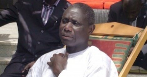 Forêt classée de Thiès - "L’Etat a octroyé à Bara Tall plus de 10 hectares à quelques mètres de l’aéroport", (maire de Thiès-Ouest)