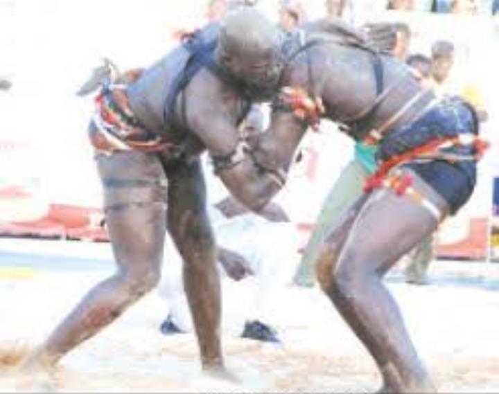 7ème édition du Tournoi de lutte africaine de la CEDEAO : 4 "Lions" en finale