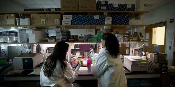 Éthiopie : premier génome 100% africain