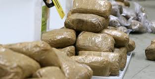 Italie : Arrêté pour trafic de drogue, un Sénégalais tombe avec plus de 22 millions F.CFA