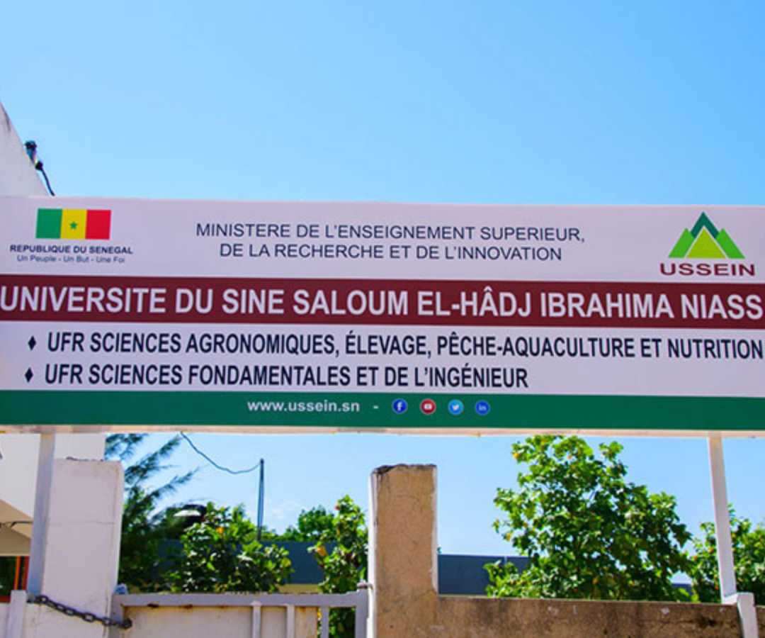 Diégane Diouf nommé nouveau Recteur de l’Université El Hadji Ibrahima Niasse du Sine Saloum (USSEIN)