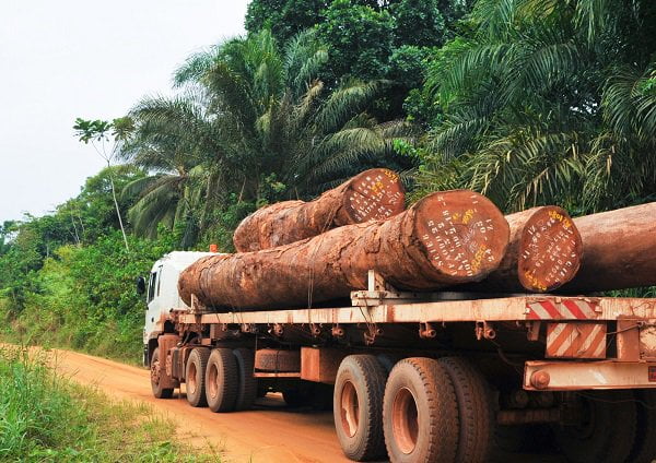 Ziguinchor : saisie de bois et de matériel roulant d’une valeur de 300 millions FCFA