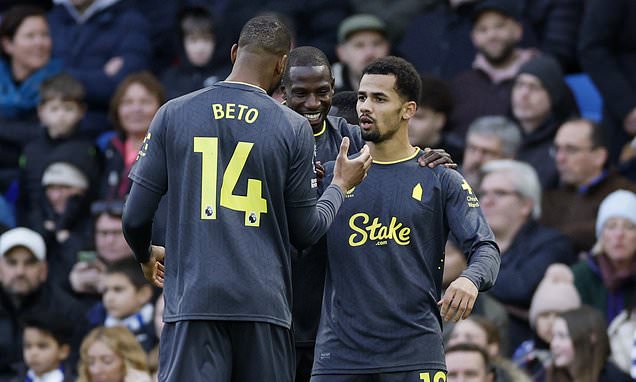 Premier League : Iliman Ndiaye offre la victoire à Everton face à Brighton