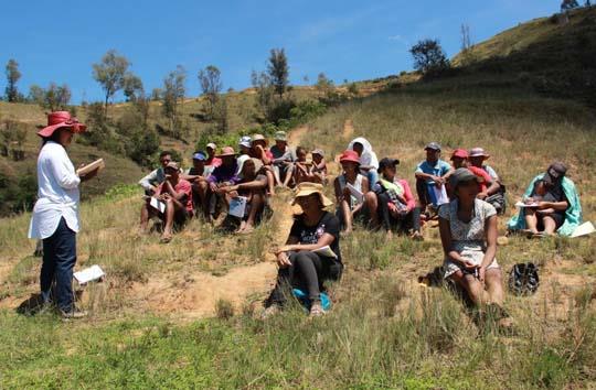 Partenariat agricole et enjeux de l'emploi des jeunes au Sénégal ( Par Jules Souleymane Sene)