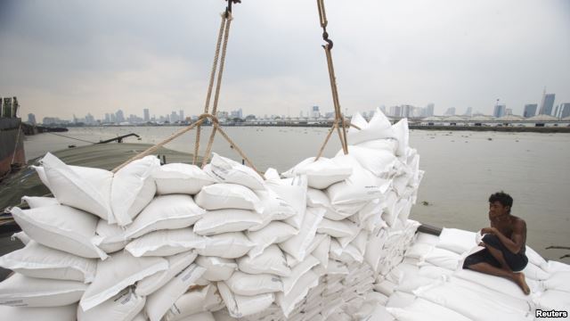 L'importation du blé au Sénégal, coûtant environ 294 milliards de francs CFA par an : analyse approfondie de cette situation (Par Babacar Bitèye)