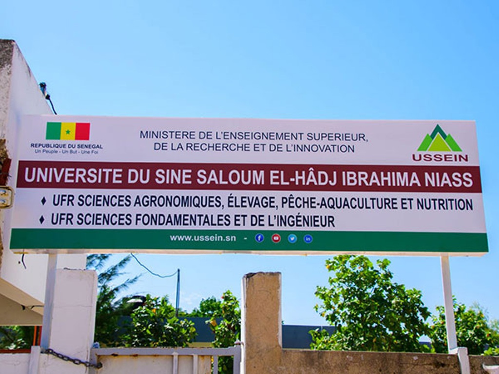 ​Université Ibrahima Niasse : le collectif des bailleurs annonce la fermeture de ses résidences
