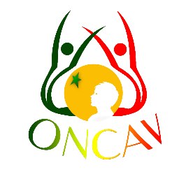 Le Syndicat des inspecteurs de l'éducation populaire et de la jeunesse dénonce le comportement du président de l’ONCAV