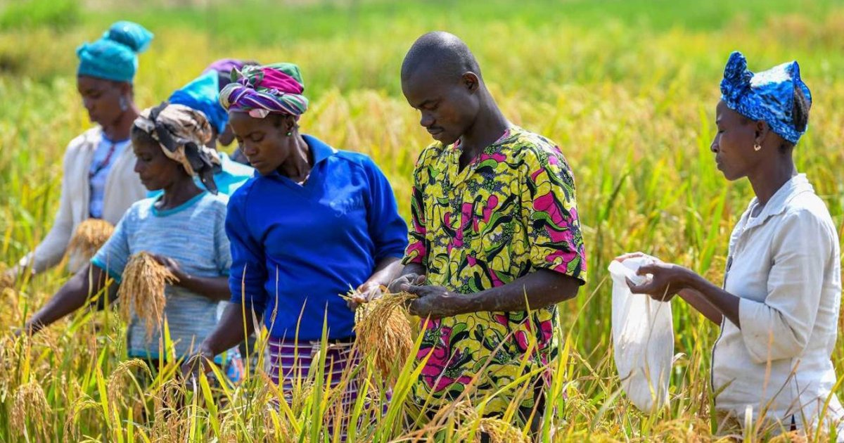 9e Journée de l’élevage : les femmes éleveuses réclament des financements et la signature du décret du code pastoral