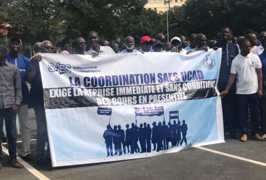 Rencontre Gouvernement - SAES : le syndicat prêt à négocier, sauf sur le décret « perdu »