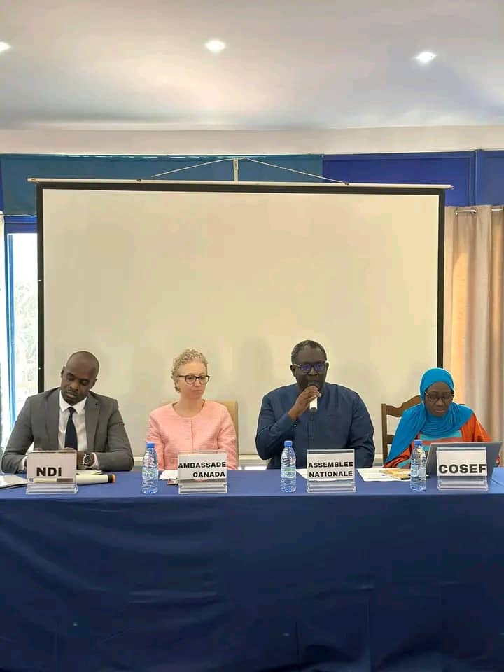 Renforcement des capacités : le NDI forme et outille les députés de la 15e législature