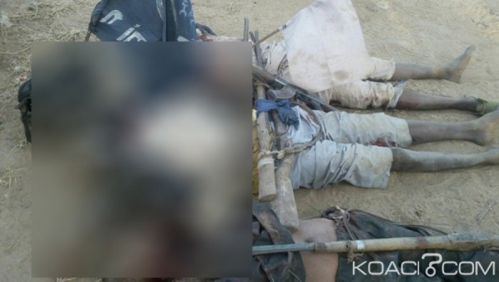 Nigeria: 12 islamistes présumés de Boko Haram abattus