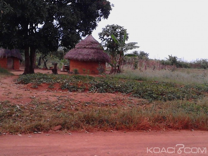 Cameroun : Un attentat-suicide attribué à Boko Haram fait deux morts et trois blessés