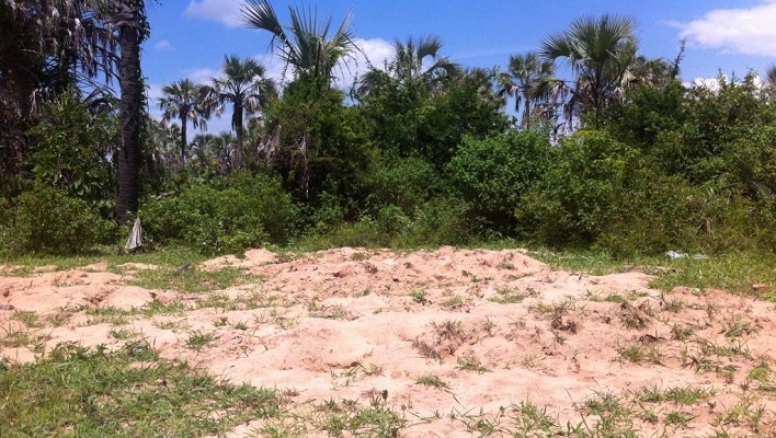 Burundi: des témoins évoquent l'existence de fosses communes