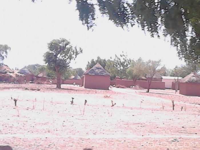 Cameroun : Kolofata, un mort dans un attentat-suicide déjoué grâce au comité de vigilance