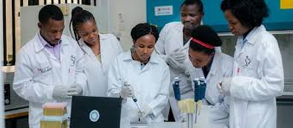 Ces scientifiques qui tentent de faire progresser la recherche génomique en Afrique