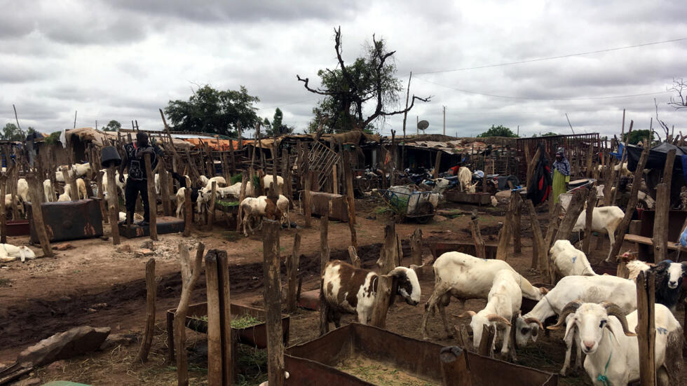 Mali : une semaine après l'assassinat du leader peul Boubou «Tigal» Cissé, l'enquête se poursuit