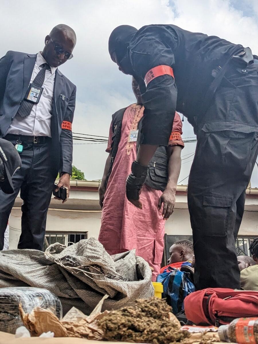 Lutte contre le trafic de drogue : plus de 700 kg saisis en neuf (9) jours au Sénégal