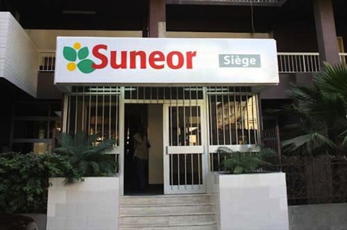 Mauvaise campagne de commercialisation de l’arachide : La Suneor au bord du péril.