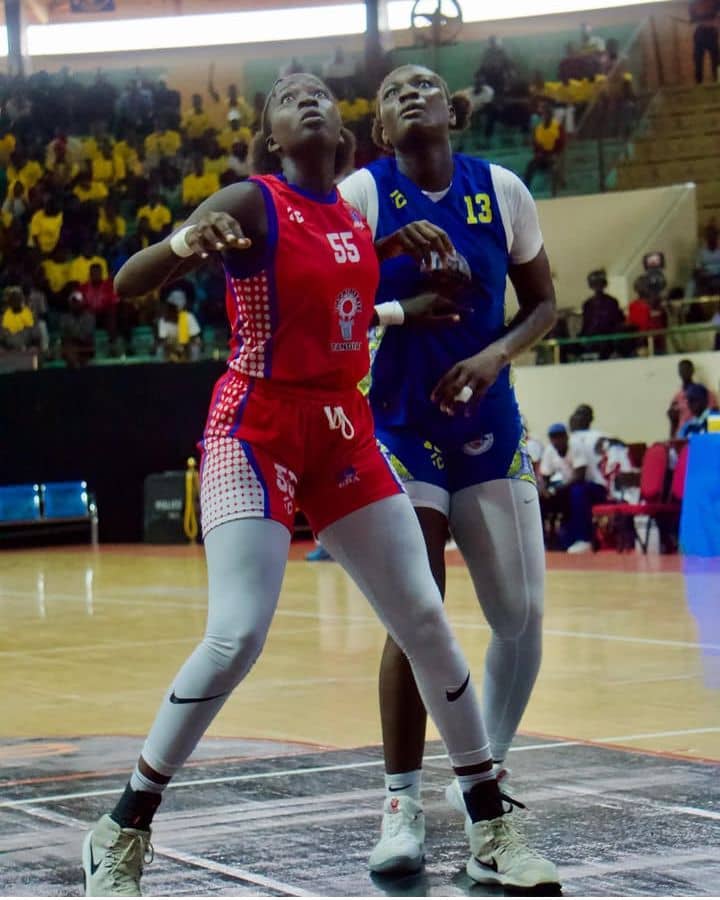 CDL - Dames :  Un alléchant DUC - DBALOC et un remake ASCVD - GBA au menu des demi-finales