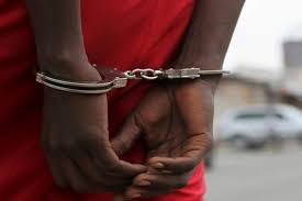 Scène choquante à Cambérène : un carreleur surpris en train d’entretenir un rapport sexuel avec une brebis 