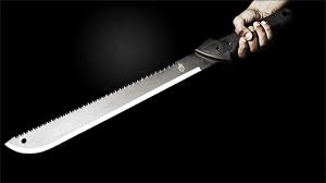 Sandiara : un spectacle de Ngèl vire au drame, Doudou Tine tue Ngor Séne à coups de coupe-coupe