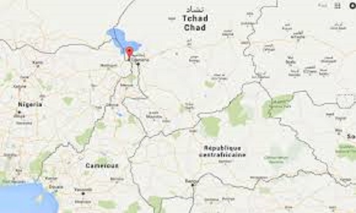 Cameroun: Au moins 29 morts et 30 blessés dans des attentats-suicide contre un marché au Nord