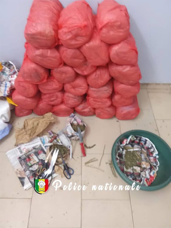 Trafic de drogue à Guinaw Rails : 28 kg de chanvre indien saisis, une personne arrêtée