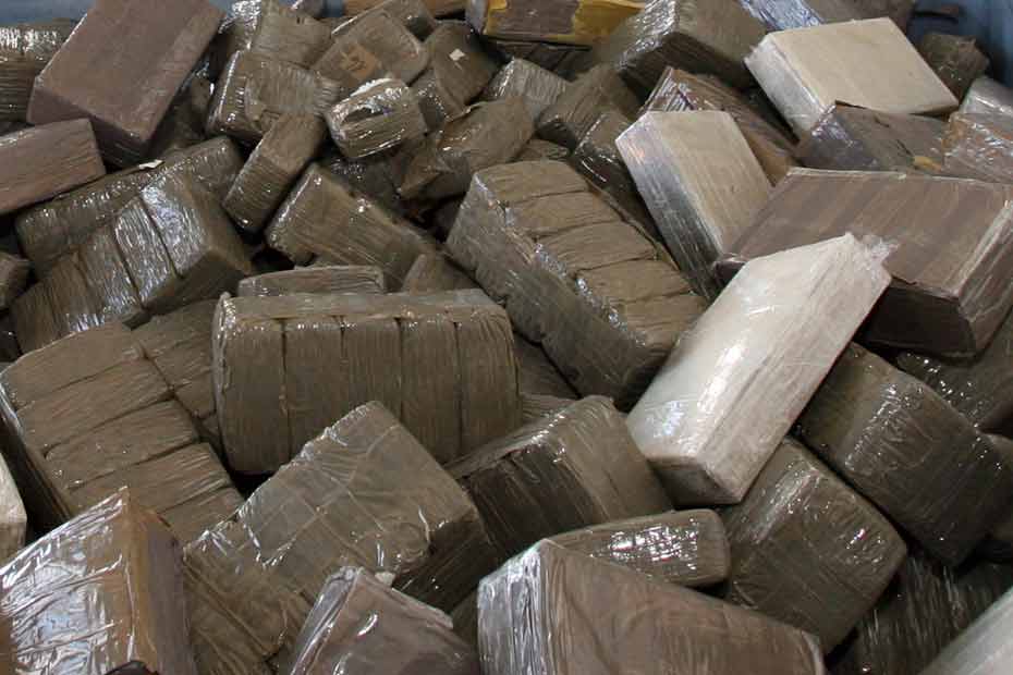 ​Saisie de près d’une tonne de chanvre indien par la Douane
