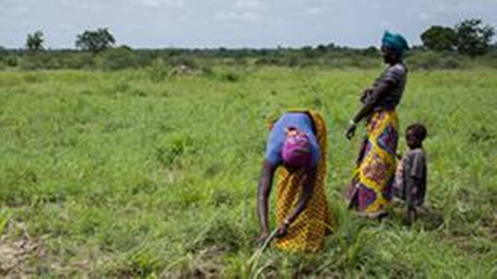 Burkina: Les femmes exigent le quota