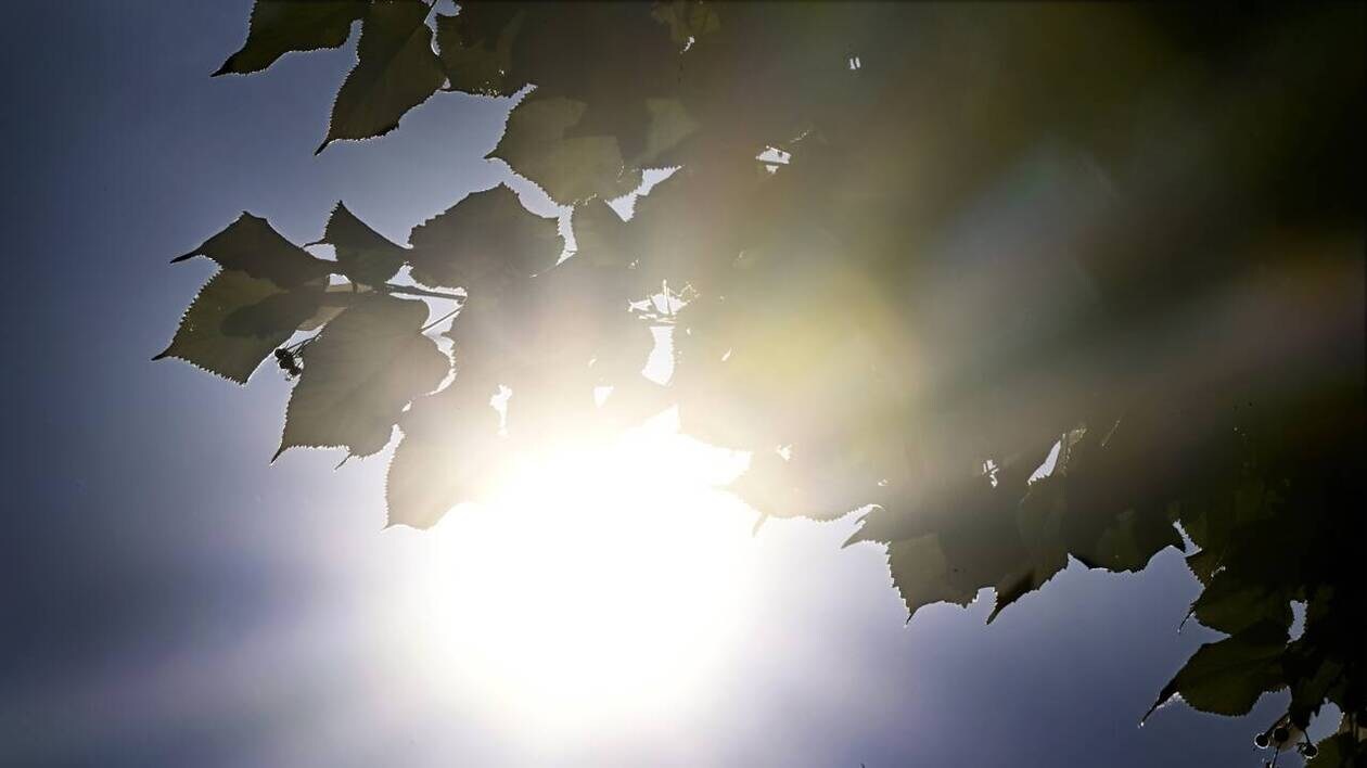 Alerte météo - Sénégal : un temps globalement ensoleillé, mais des orages attendus à l'extrême Sud-Est en fin de semaine