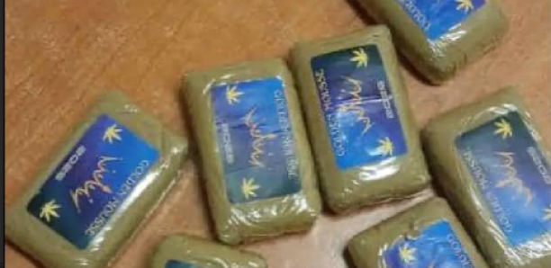 Sicap Liberté 5 : Un individu interpellé avec huit plaquettes de haschich