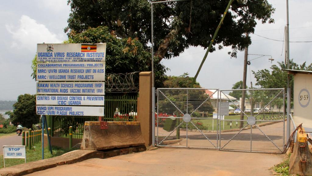 Zika: retour en Ouganda, aux sources du virus