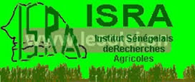 Exclusif: Gros scandale à l’Isra : 110 millions détournés,  Saliou Mboup écroué.