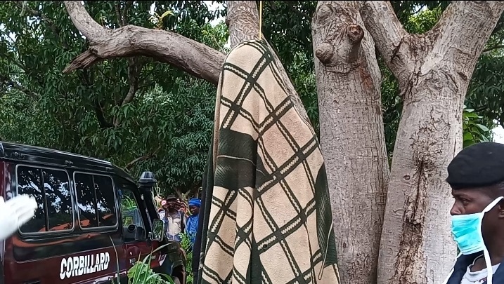 Ndiaganiao : Un berger de 17 ans meurt après une chute d’un baobab