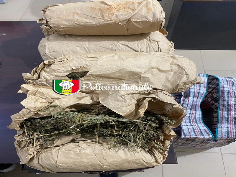 Trafic de drogue à Bargny : un suspect interpellé après une course poursuite à Rufisque avec 5 kg de chanvre indien