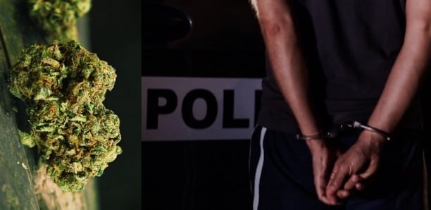 Diameguéne Sicap Mbao : un multirécidiviste arrêté en flagrant délit de trafic de chanvre indien 