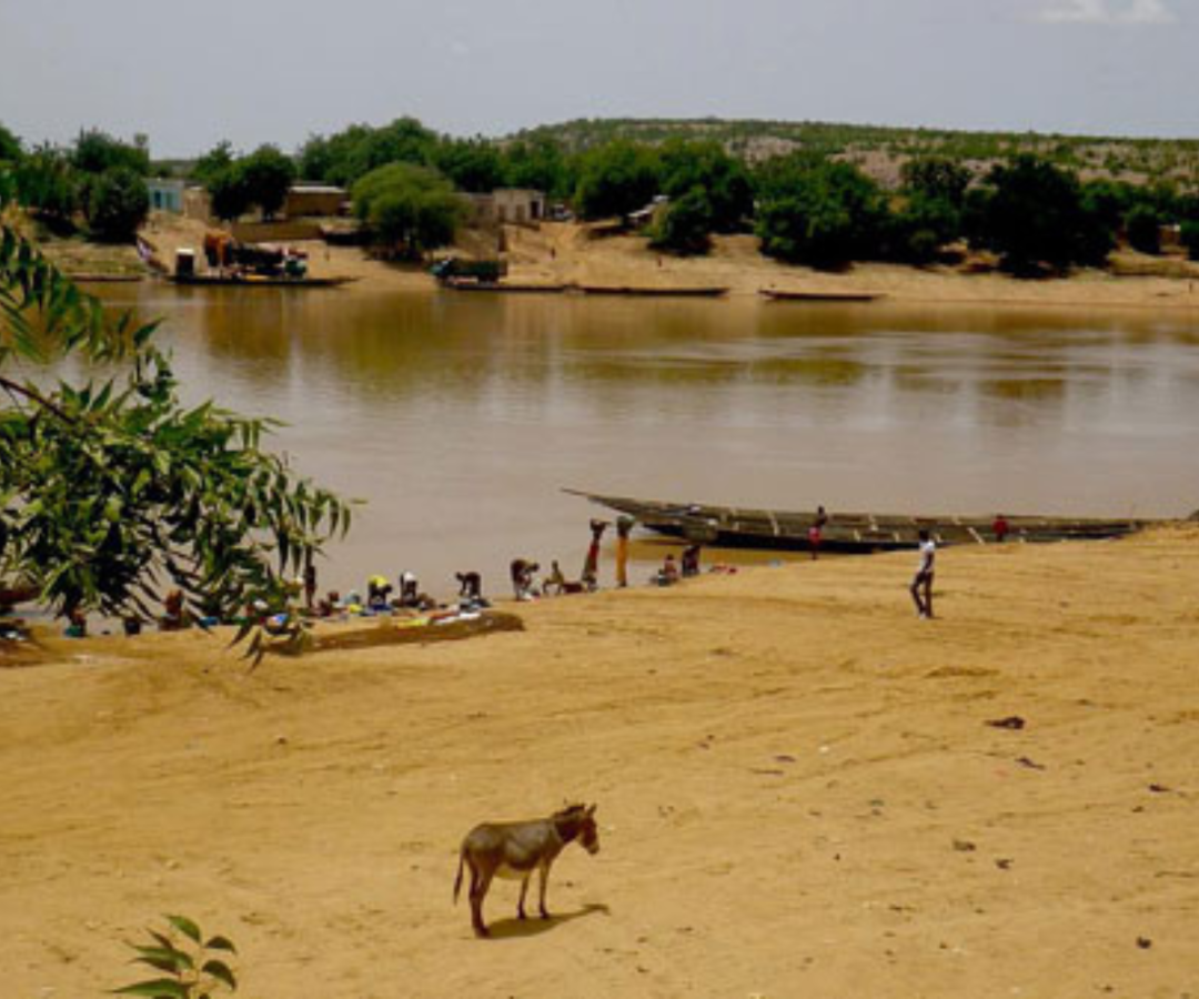 Hydraulogie : risque de débordement sur les fleuves Gambie et Sénégal