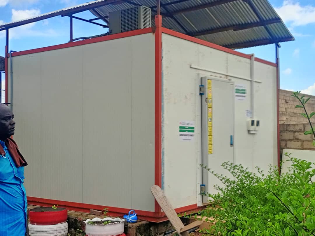 ​Agriculture et entrepreneuriat : le projet AVENIR transforme la vie des communautés au Sénégal