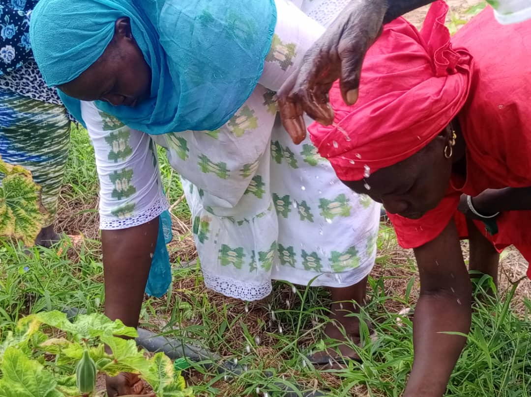 ​Sénégal : le projet AVENIR transforme l'agriculture et la vie des communautés