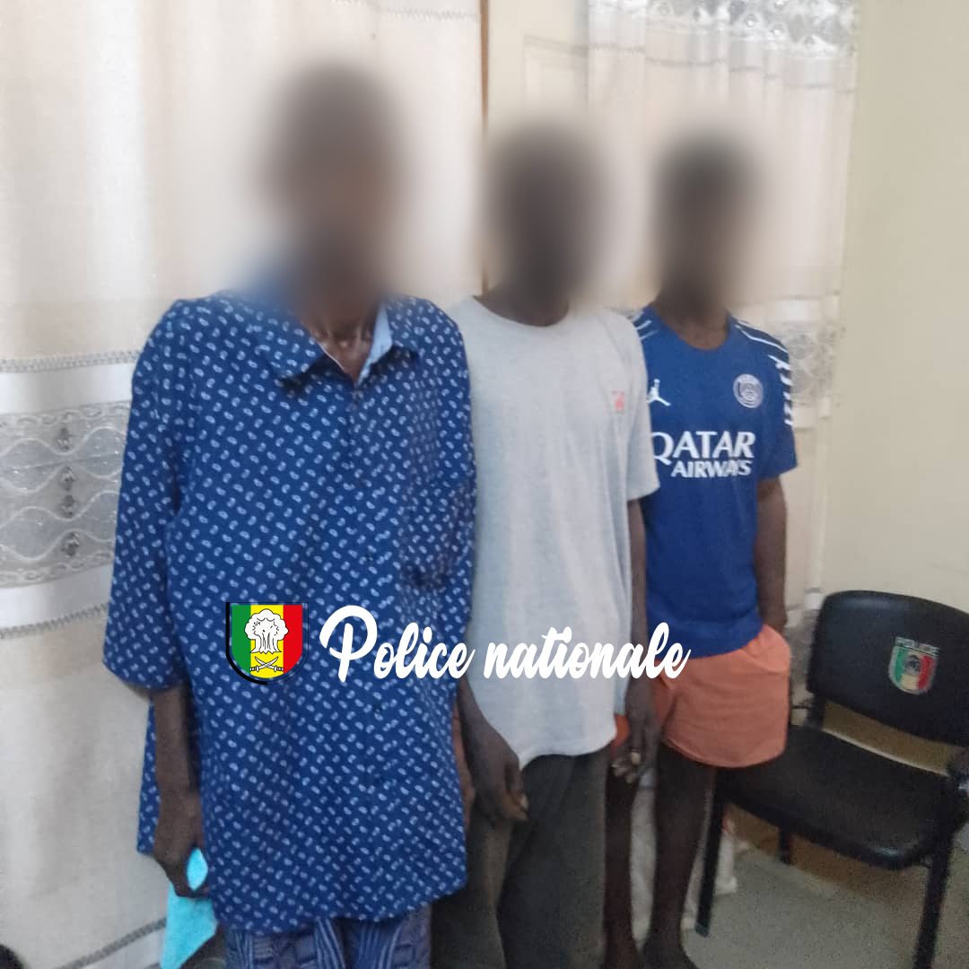 Fatick : trois (3) individus arrêtés pour « trafic, détention et usage de chanvre indien » par la police