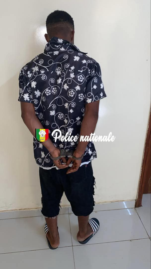 Mbour : Un individu arrêté pour trafic de « Kush »