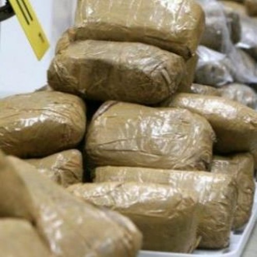 Coup de filet anti-drogue à Bambey : deux (2) individus arrêtés avec 8,45 kg de chanvre indien