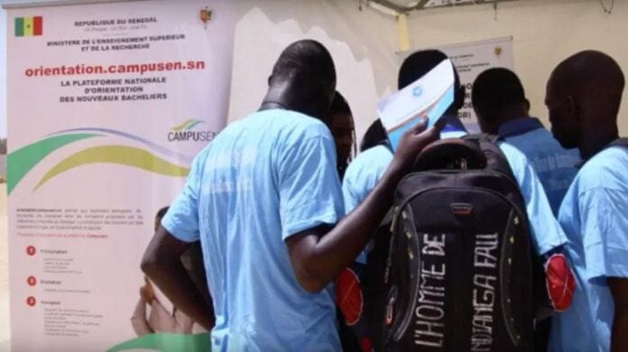 Universités publics : les orientations des nouveaux bacheliers démarrent ce 29 août 